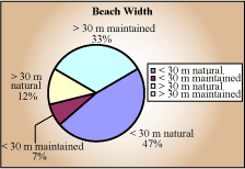 Beach width pie chart - greater than 30 meters maintained 33%; greater than 30 meters natural 12%, less than 30 maintained 7%, less than 30 meters natural 47%