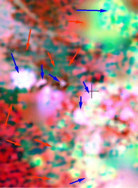 Sub-area 1 image of the gamma-ray color-composite image with uranium, potassium, and thorium