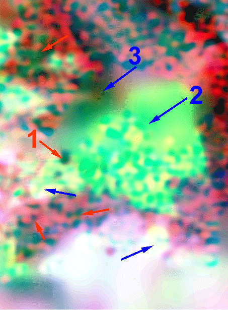 Sub-area 2 gamma-ray color-composite image with uranium, potassium, and thorium as