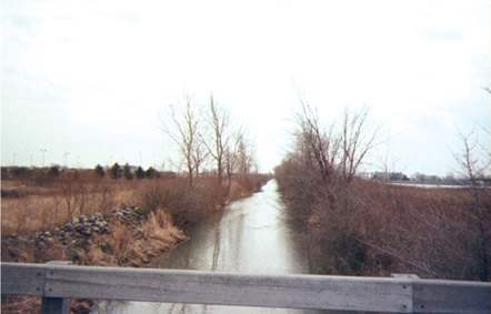 Photograph showing Berger Ditch, upstream from mouth.