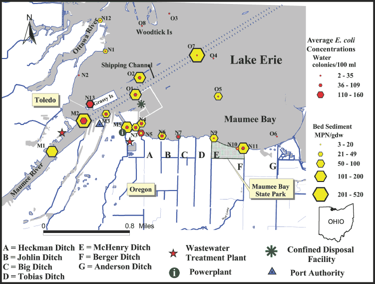 Map showing average E. coli concentrations in Maumee Bay area, phase 1 (2003). Samples were collected during the rectrational season (May through September) from 24 sites on 5 or 6 occasions at nearshore (N), offshore (O), and Maumee River (M) sites.