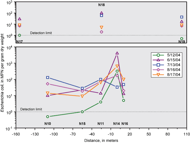 Figure showing concentrations of E. coli at sites in and around Berger Ditch (N14) and in distance from the mouth of Berger Ditch, phase 2 (2004), in bed sediments.