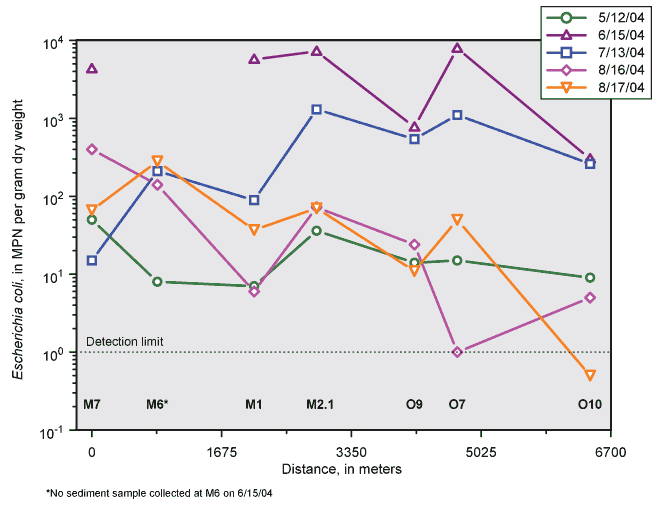 Graph showing concentrations of E. coli in downstream order at Maumee River sites and increasing distance offshore from the mouth of the Maumee River, phase 2 (2004), in bed sediments.