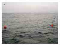 Figure 16. USC buoy.