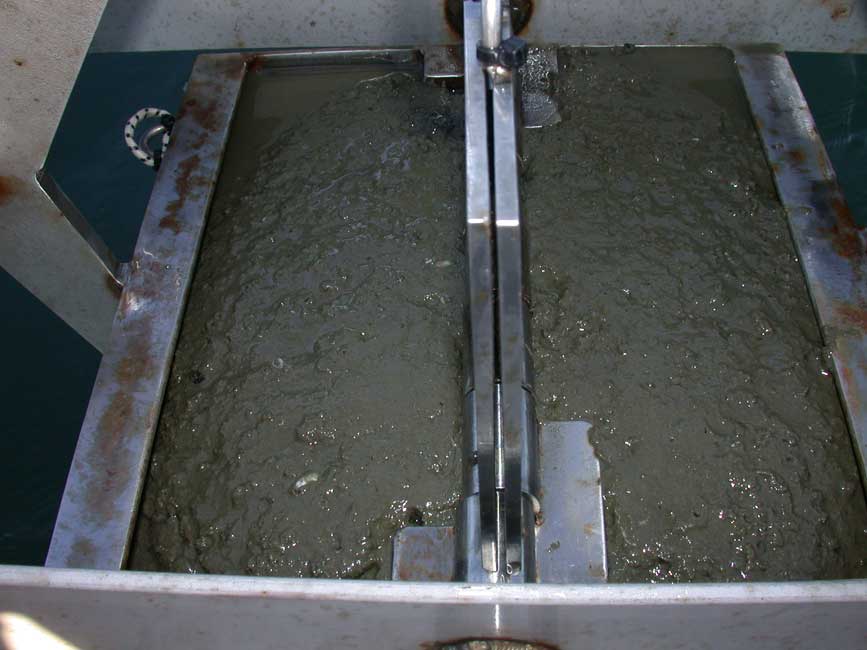 Image of sediment.