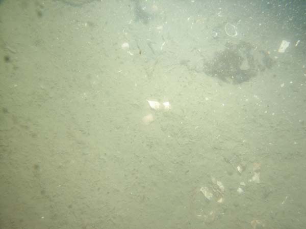 Image of sea bottom photo.