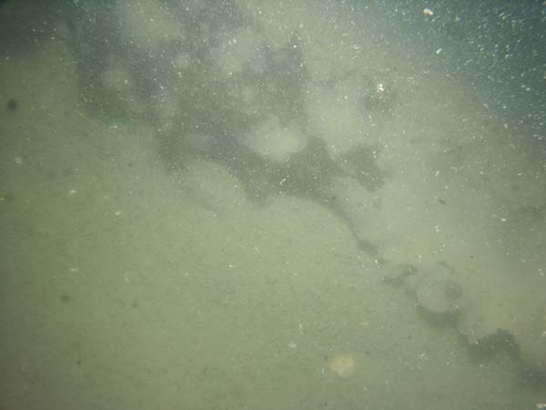 Image of sea bottom photo.