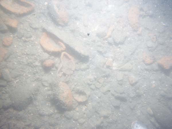 Image of sea bottom photo.