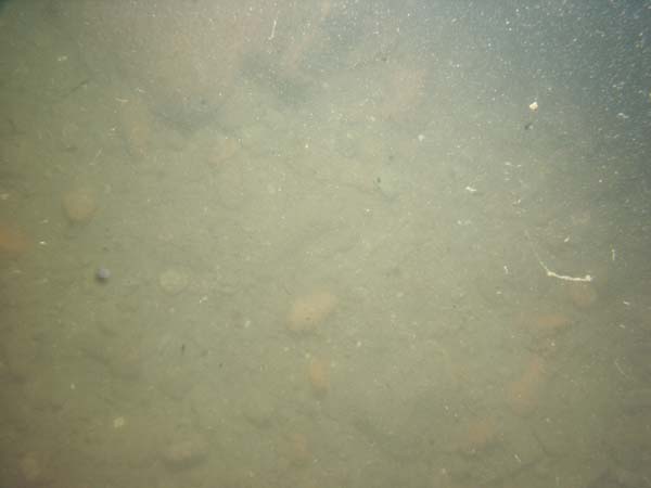 Image of sea bottom photo.