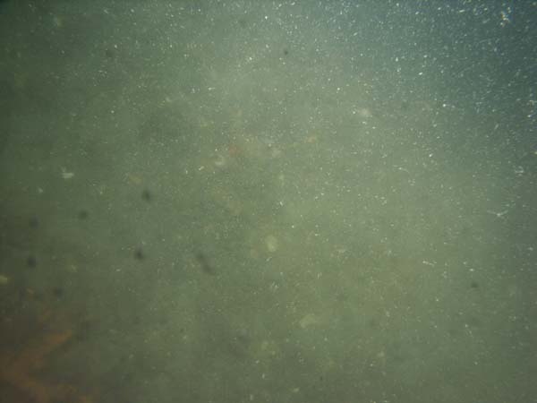 Image of sea bottom photo.