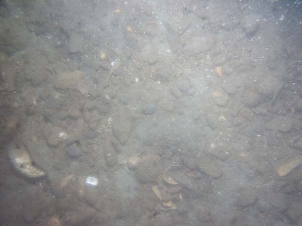 Image of sea bottom photo.