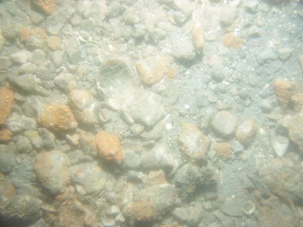 Image of sea bottom photo.