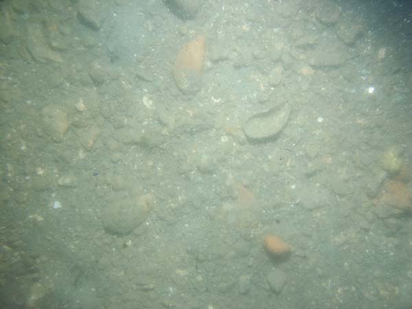 Image of sea bottom photo.