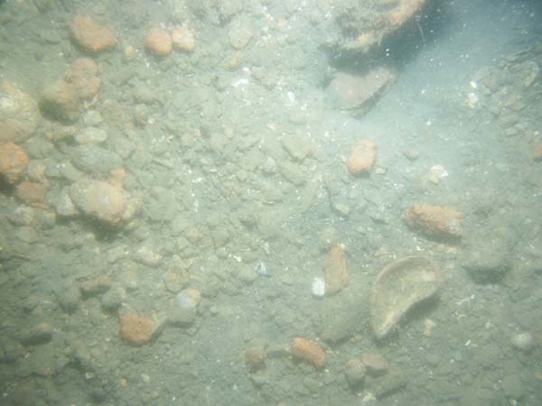 Image of sea bottom photo.