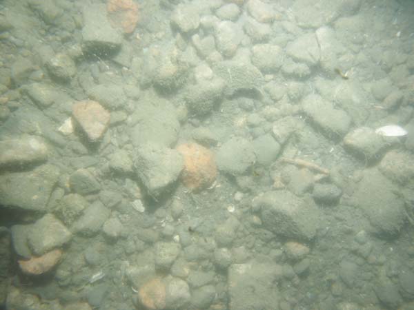 Image of sea bottom photo.