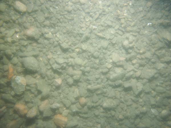 Image of sea bottom photo.