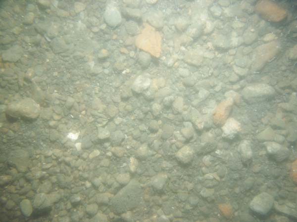 Image of sea bottom photo.