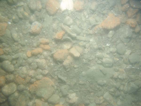 Image of sea bottom photo.