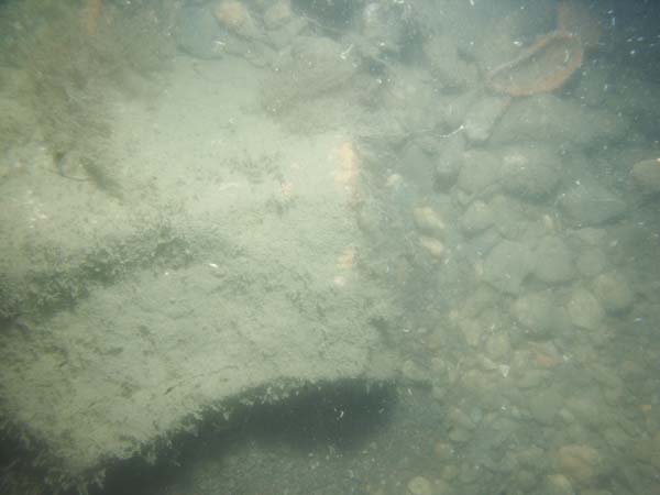 Image of sea bottom photo.