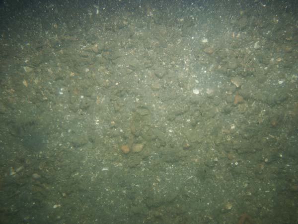 Image of sea bottom photo.