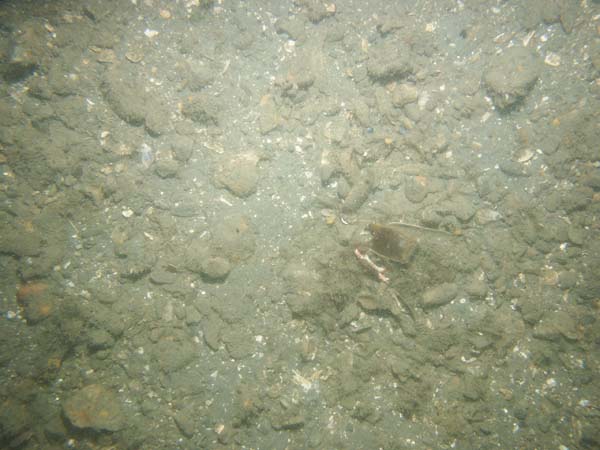 Image of sea bottom photo.