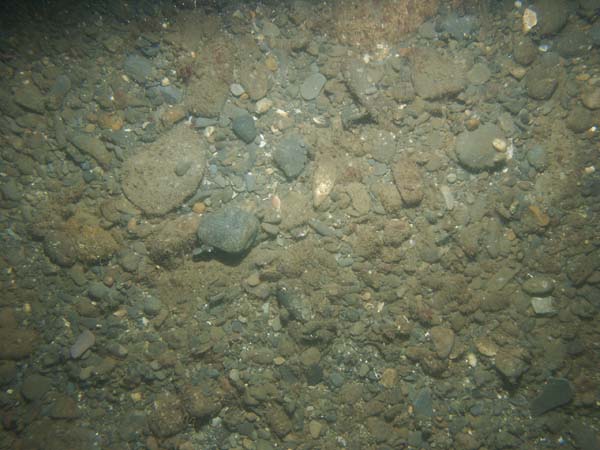 Image of sea bottom photo.