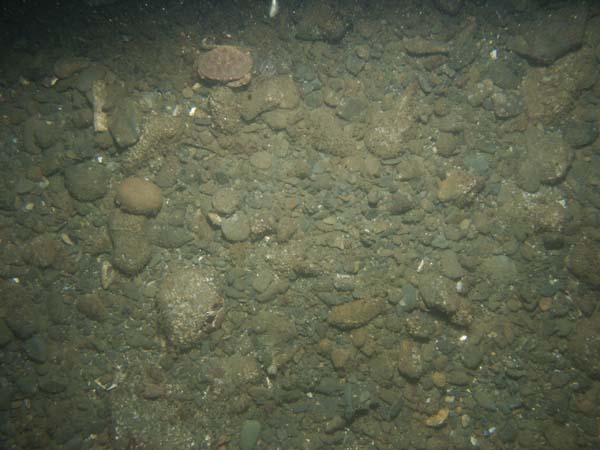 Image of sea bottom photo.