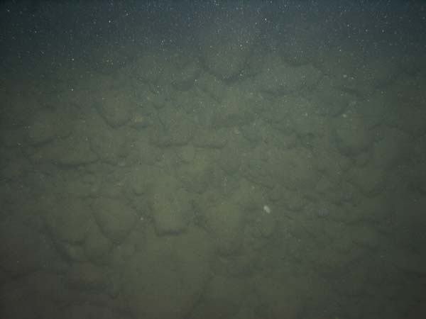 Image of sea bottom photo.