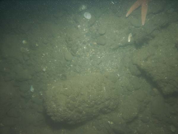 Image of sea bottom photo.