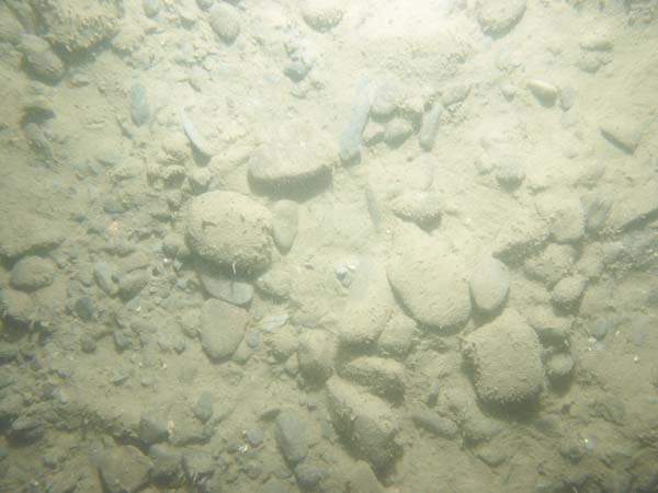 Image of sea bottom photo.