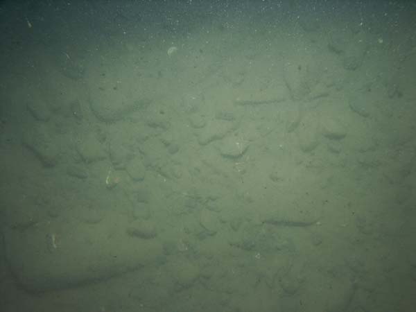 Image of sea bottom photo.