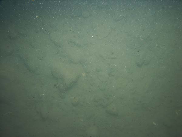 Image of sea bottom photo.