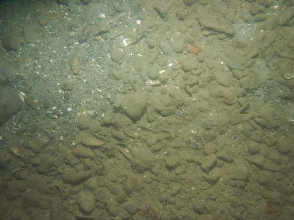 Image of sea bottom photo.