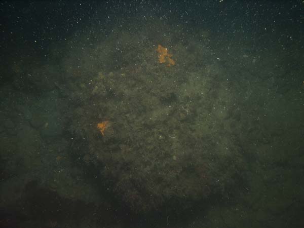 Image of sea bottom photo.