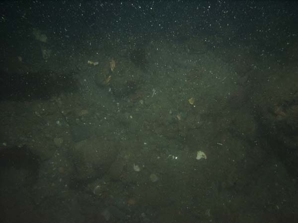 Image of sea bottom photo.