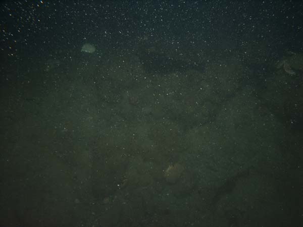 Image of sea bottom photo.