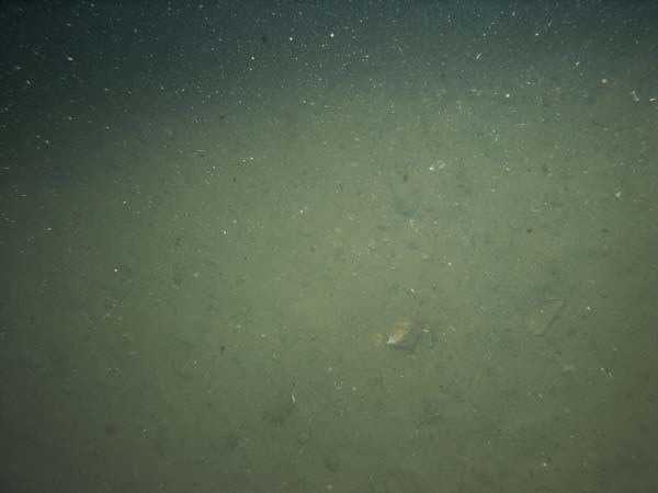 Image of sea bottom photo.