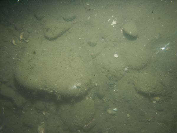 Image of sea bottom photo.