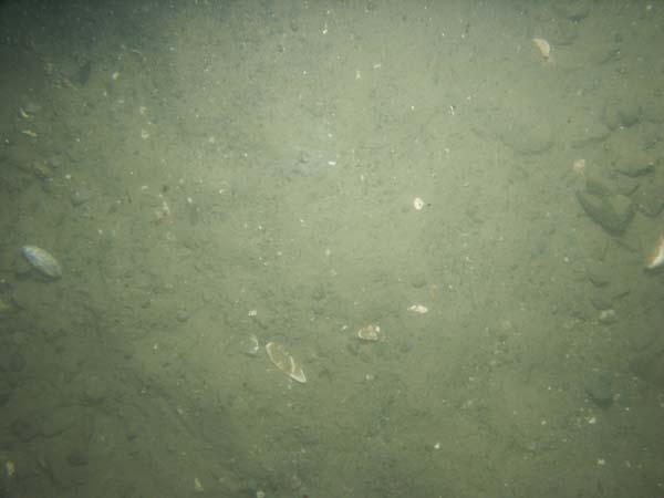 Image of sea bottom photo.