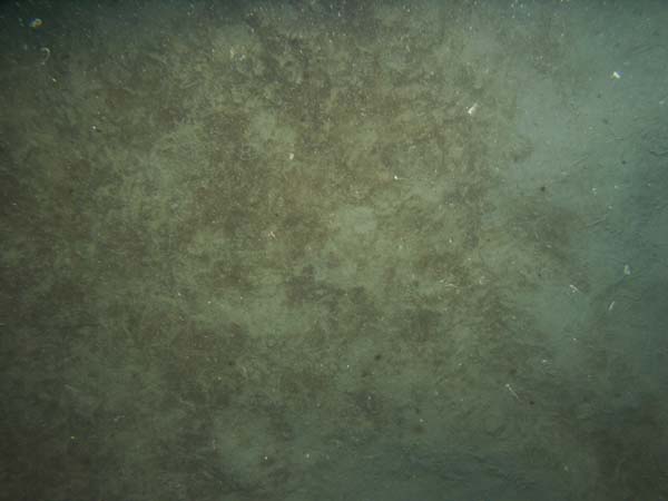 Image of sea bottom photo.