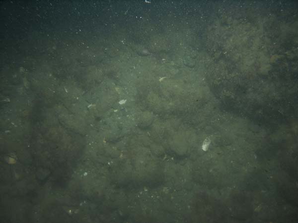 Image of sea bottom photo.