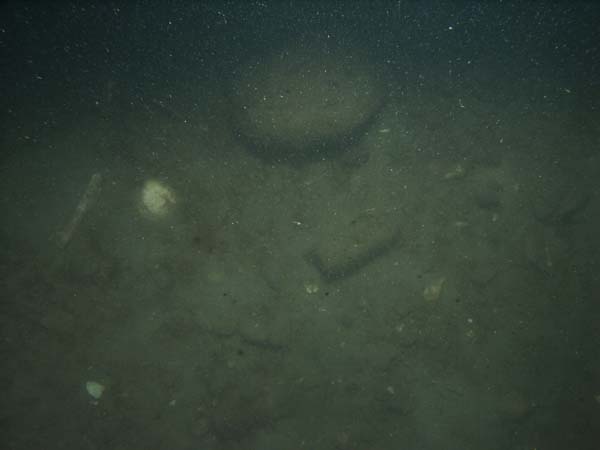 Image of sea bottom photo.