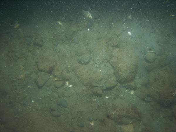 Image of sea bottom photo.