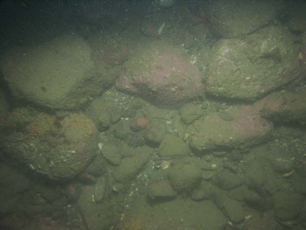 Image of sea bottom photo.