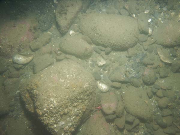 Image of sea bottom photo.