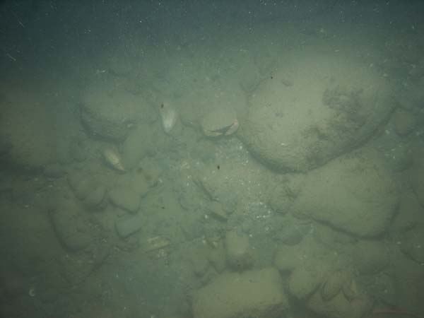 Image of sea bottom photo.