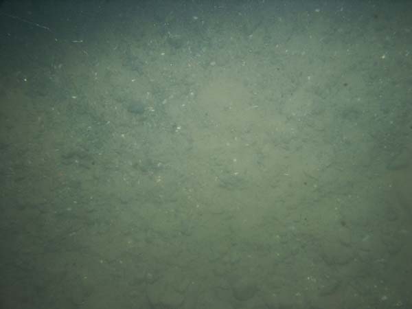 Image of sea bottom photo.