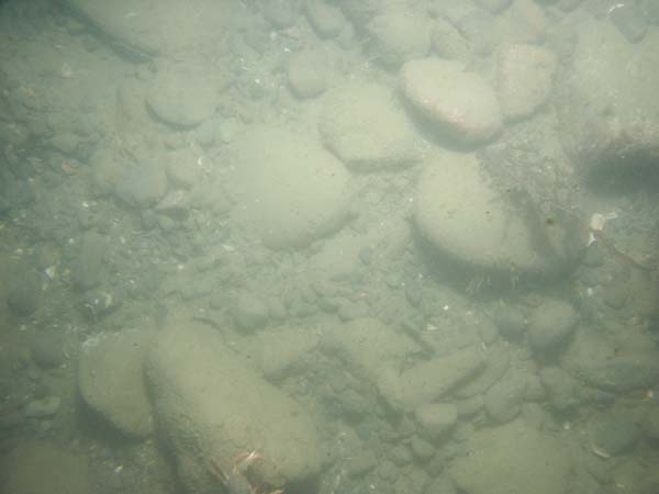 Image of sea bottom photo.