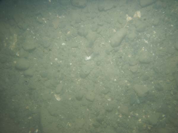 Image of sea bottom photo.