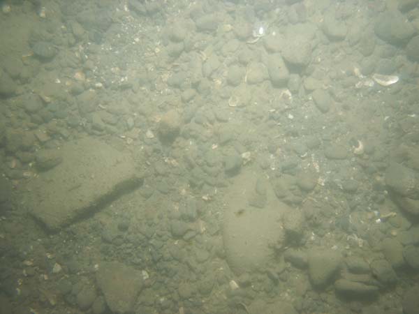 Image of sea bottom photo.